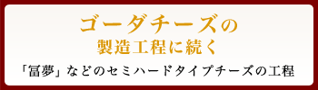 ゴーダチーズの製造工程