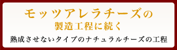 モッツァレラチーズの製造工程